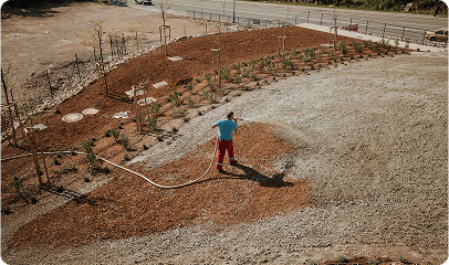 Erosion Control Seed